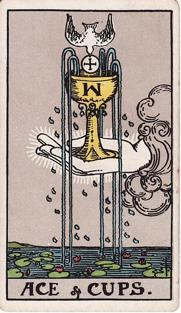 Ace of Cups · 塔罗牌插图