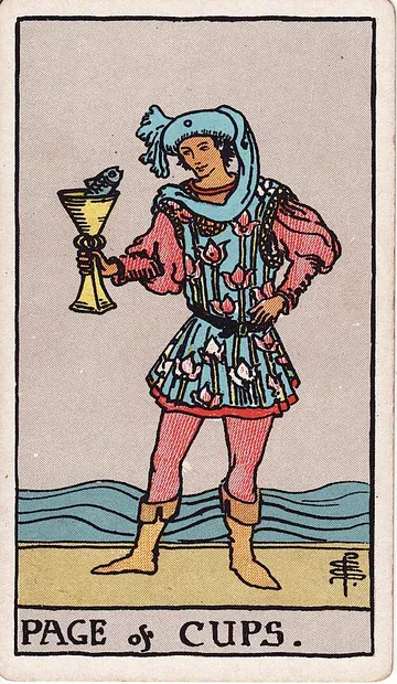 Page of Cups · 塔罗牌插图