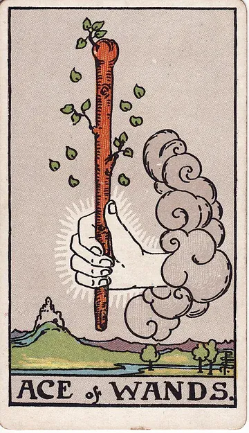 Ace of Wands · 塔罗牌插图