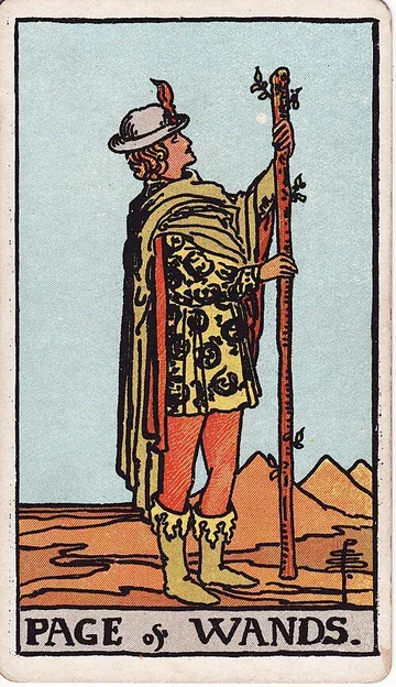 Page of Wands · 塔罗牌插图
